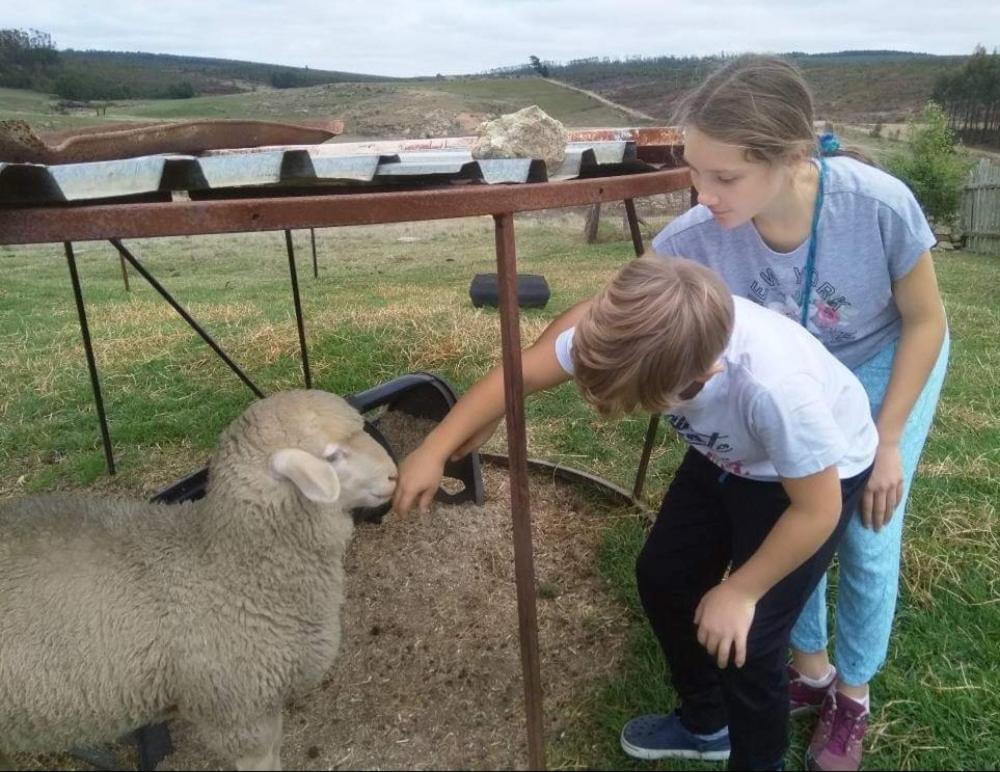 Rocks & Roses Farm Stay Lochiel ภายนอก รูปภาพ