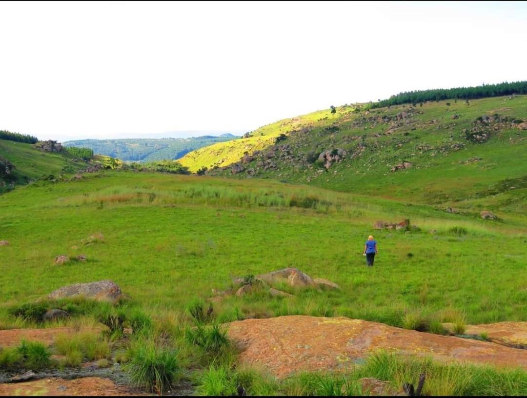 Rocks & Roses Farm Stay Lochiel ภายนอก รูปภาพ