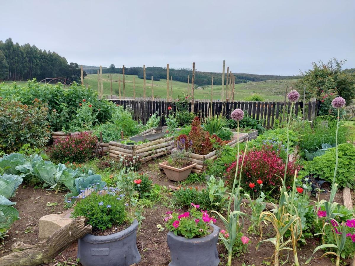 Rocks & Roses Farm Stay Lochiel ภายนอก รูปภาพ