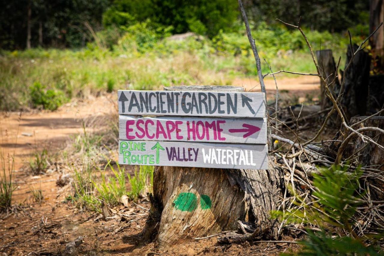 Rocks & Roses Farm Stay Lochiel ภายนอก รูปภาพ