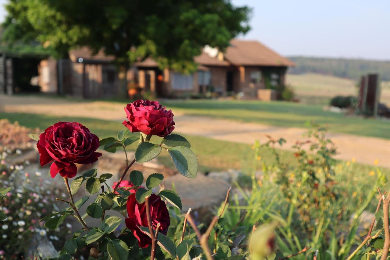 Rocks & Roses Farm Stay Lochiel ภายนอก รูปภาพ