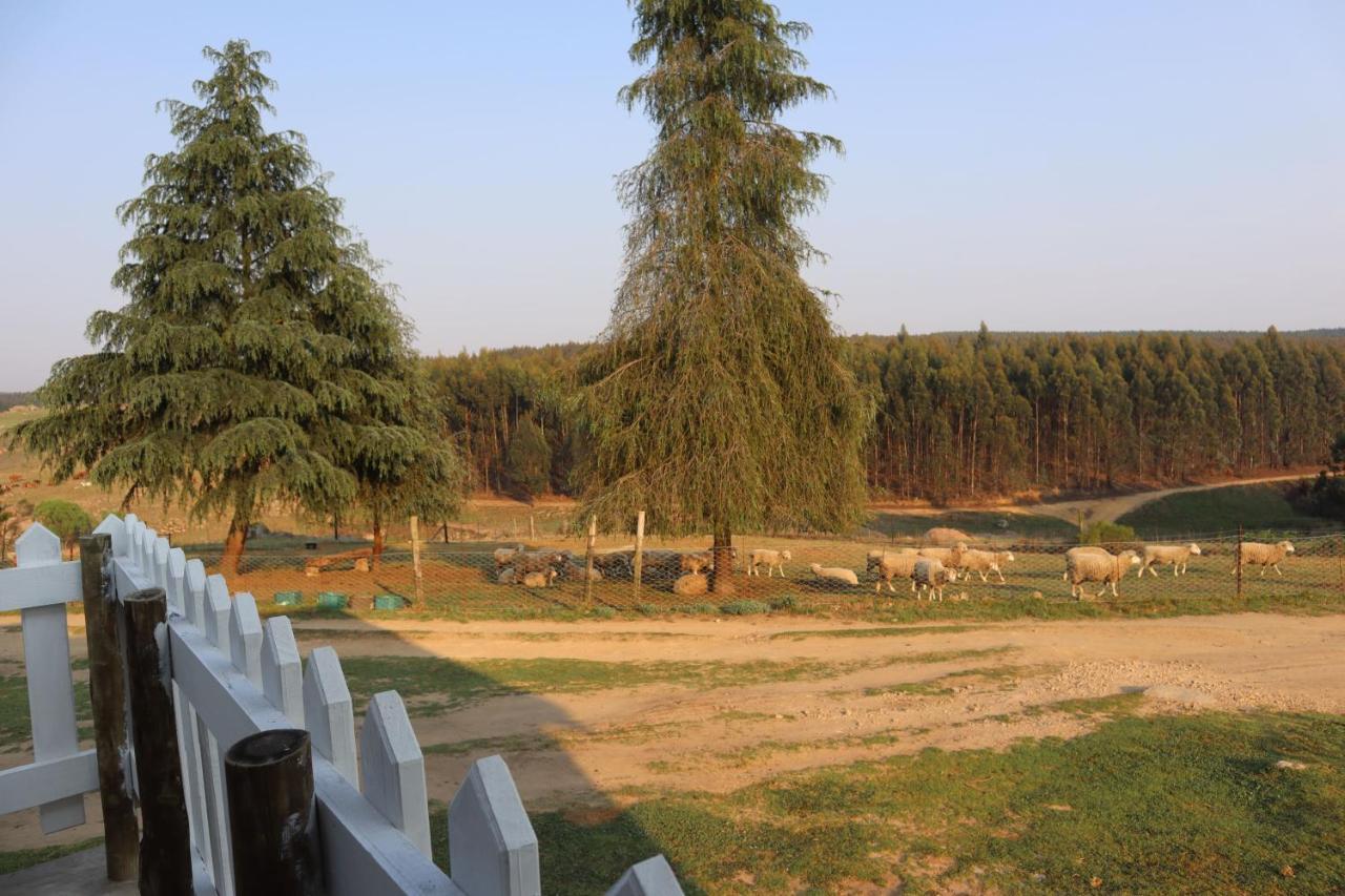 Rocks & Roses Farm Stay Lochiel ภายนอก รูปภาพ