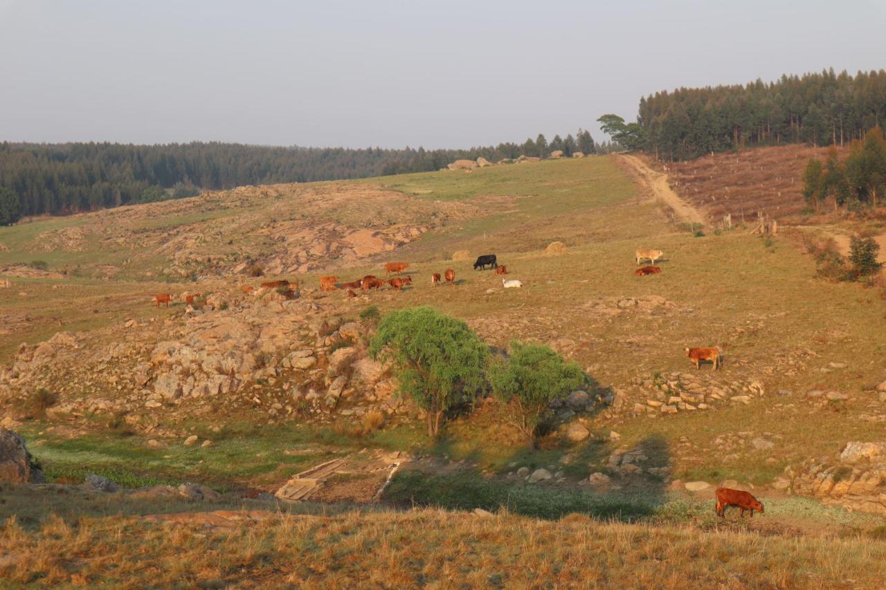 Rocks & Roses Farm Stay Lochiel ภายนอก รูปภาพ