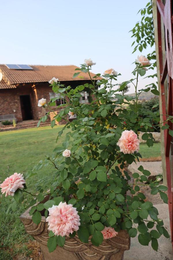 Rocks & Roses Farm Stay Lochiel ภายนอก รูปภาพ